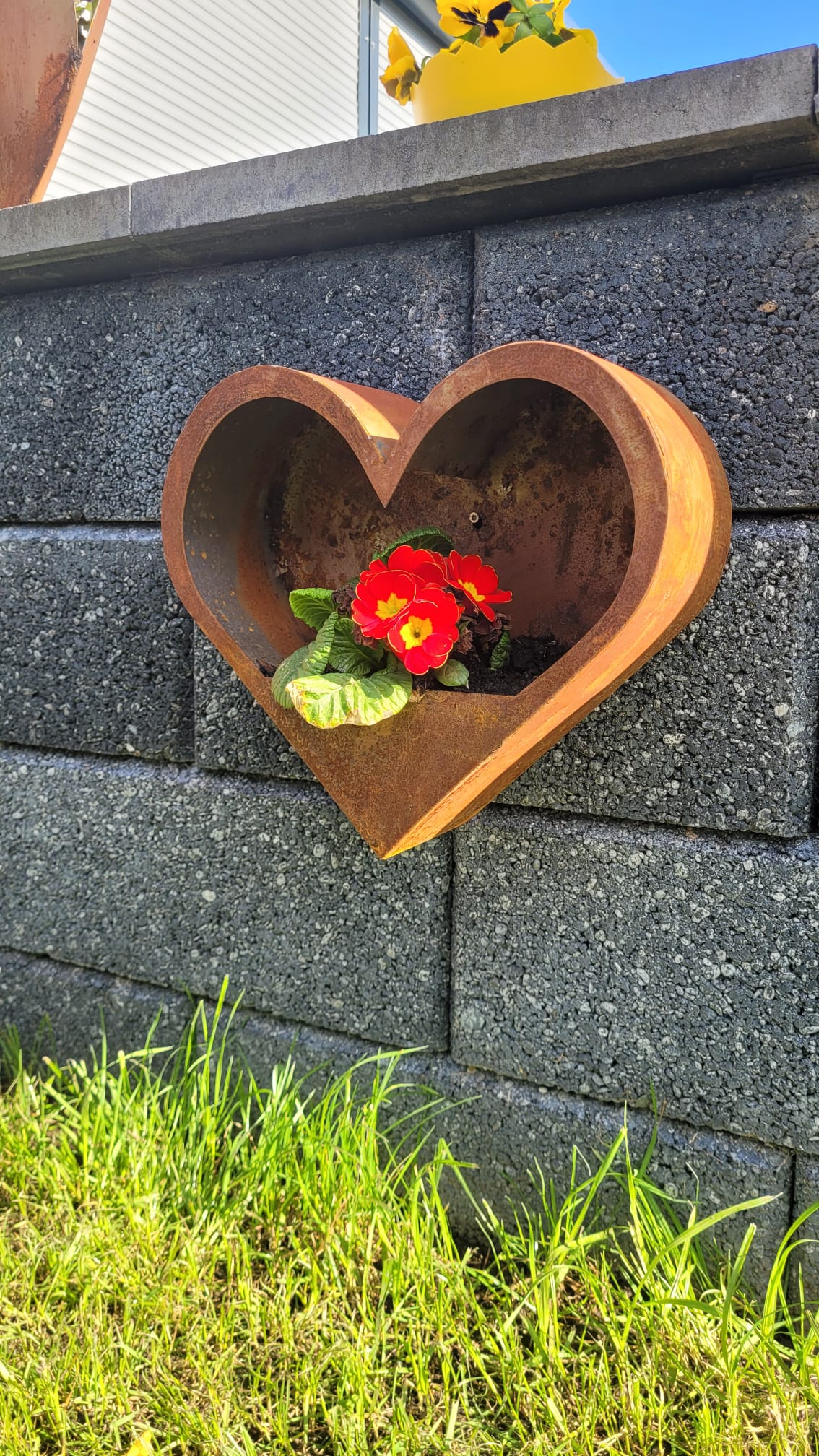 Pflanzschale Herz für die Wand
